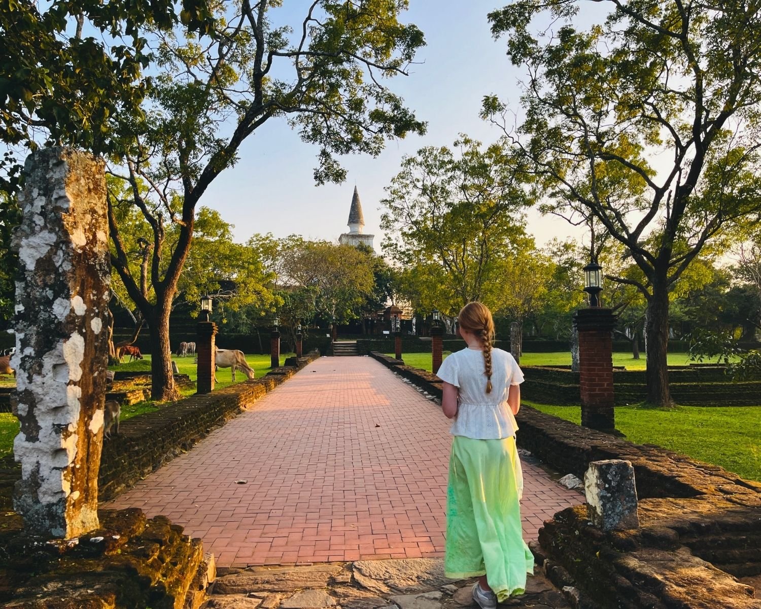 Brick approach path with stone pillars and trees leading to Kiri Vehera dagoba at golden hour