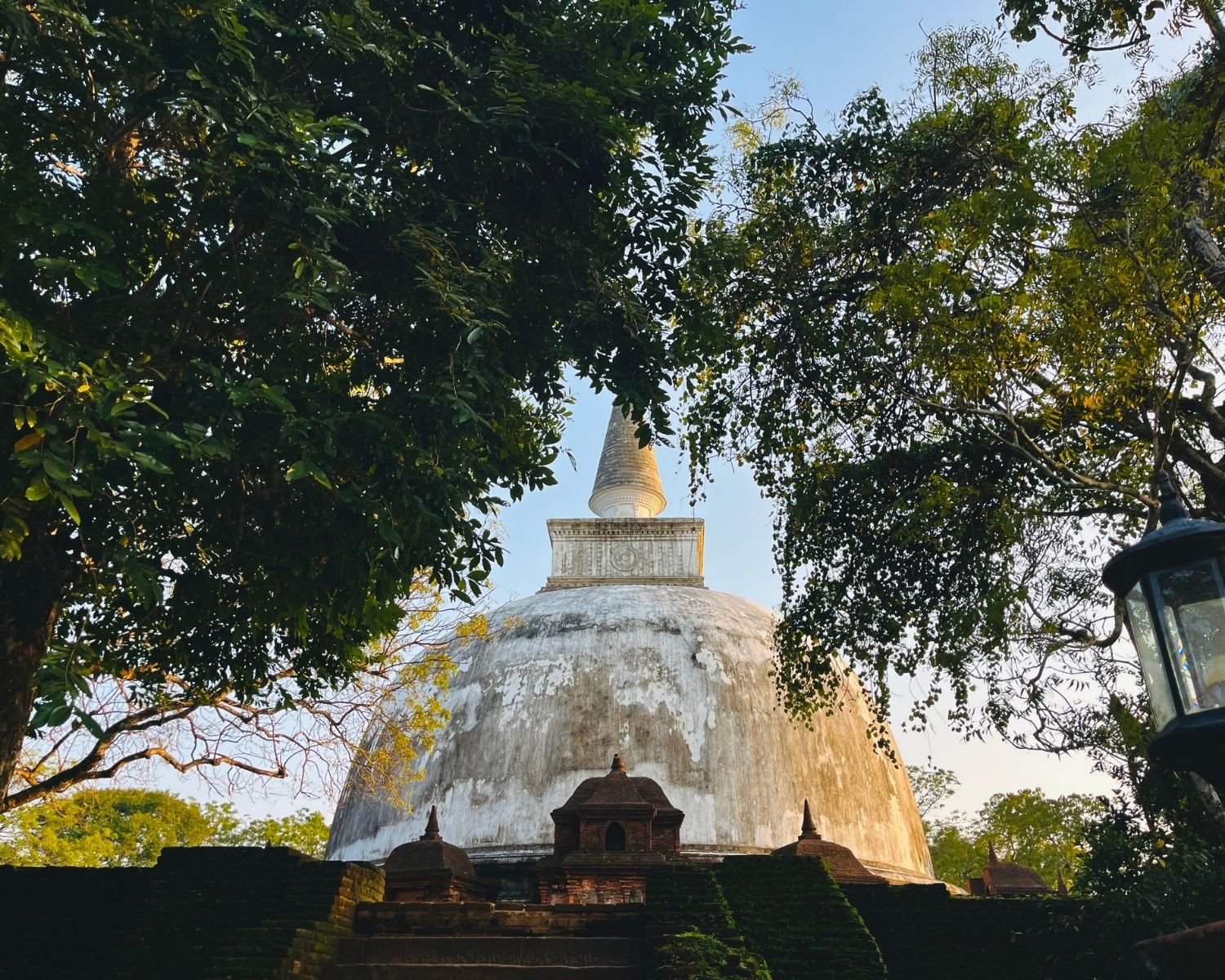 Kiri Vehera white dagoba seen through Bodhi tree branches at golden hour with brick vahalkada shrines below