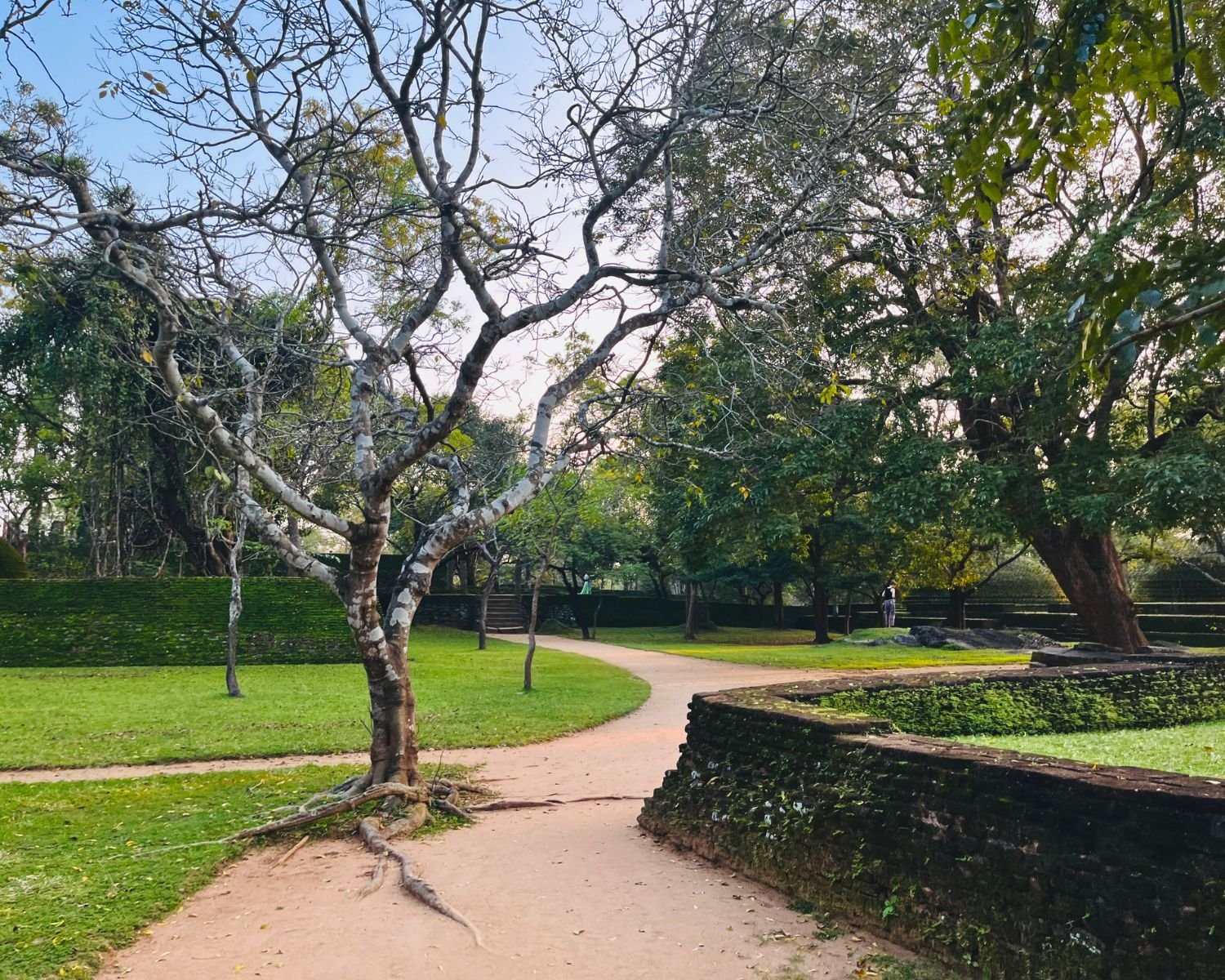 Winding path near Lankatilaka with small burial stupas visible through trees in Alahana Pirivena