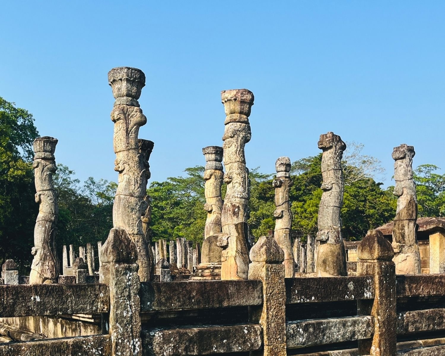 Nissanka Latha Mandapaya lotus-stalk stone pillars with carved capitals and stone railing