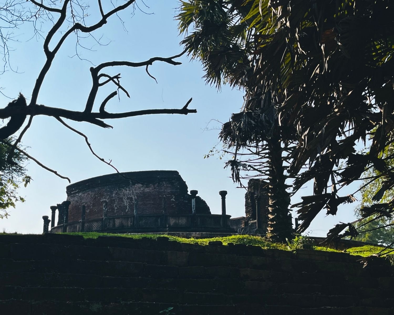 Distant view of Vatadage circular brick shrine framed by tree branches against blue sky