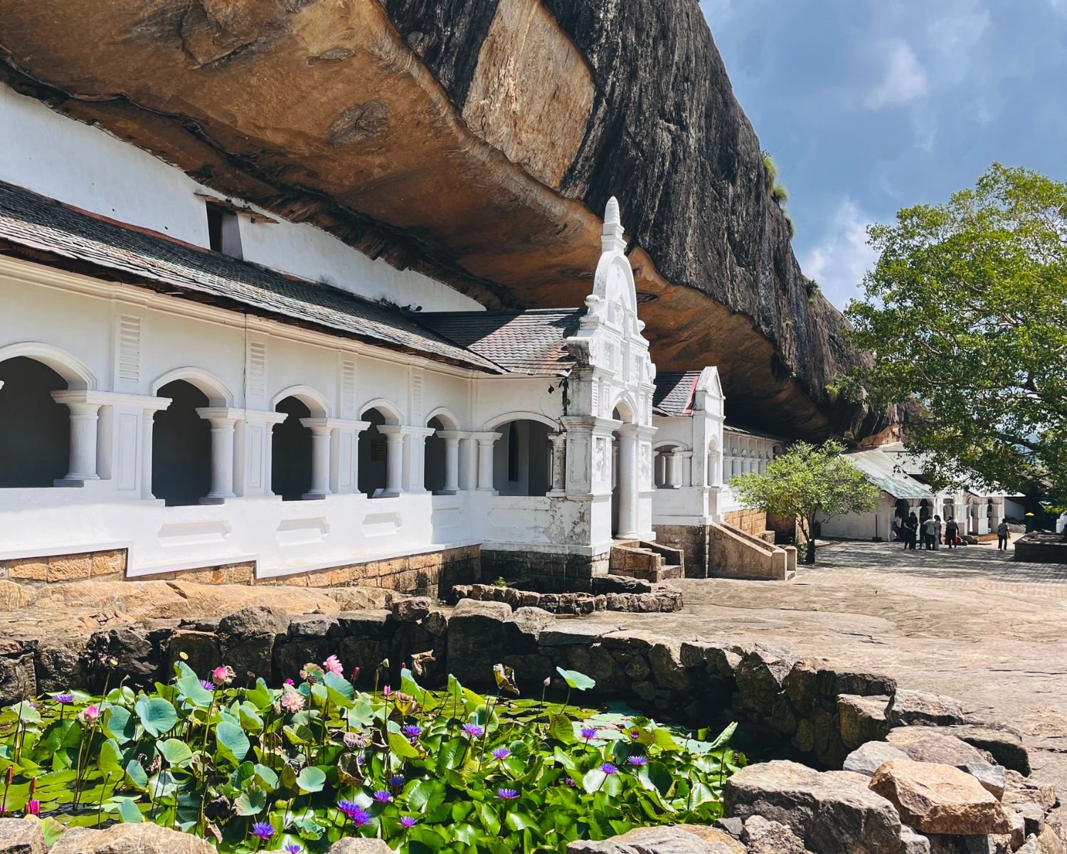 Lotus pond beside white cave shrine façades under the rock shelter