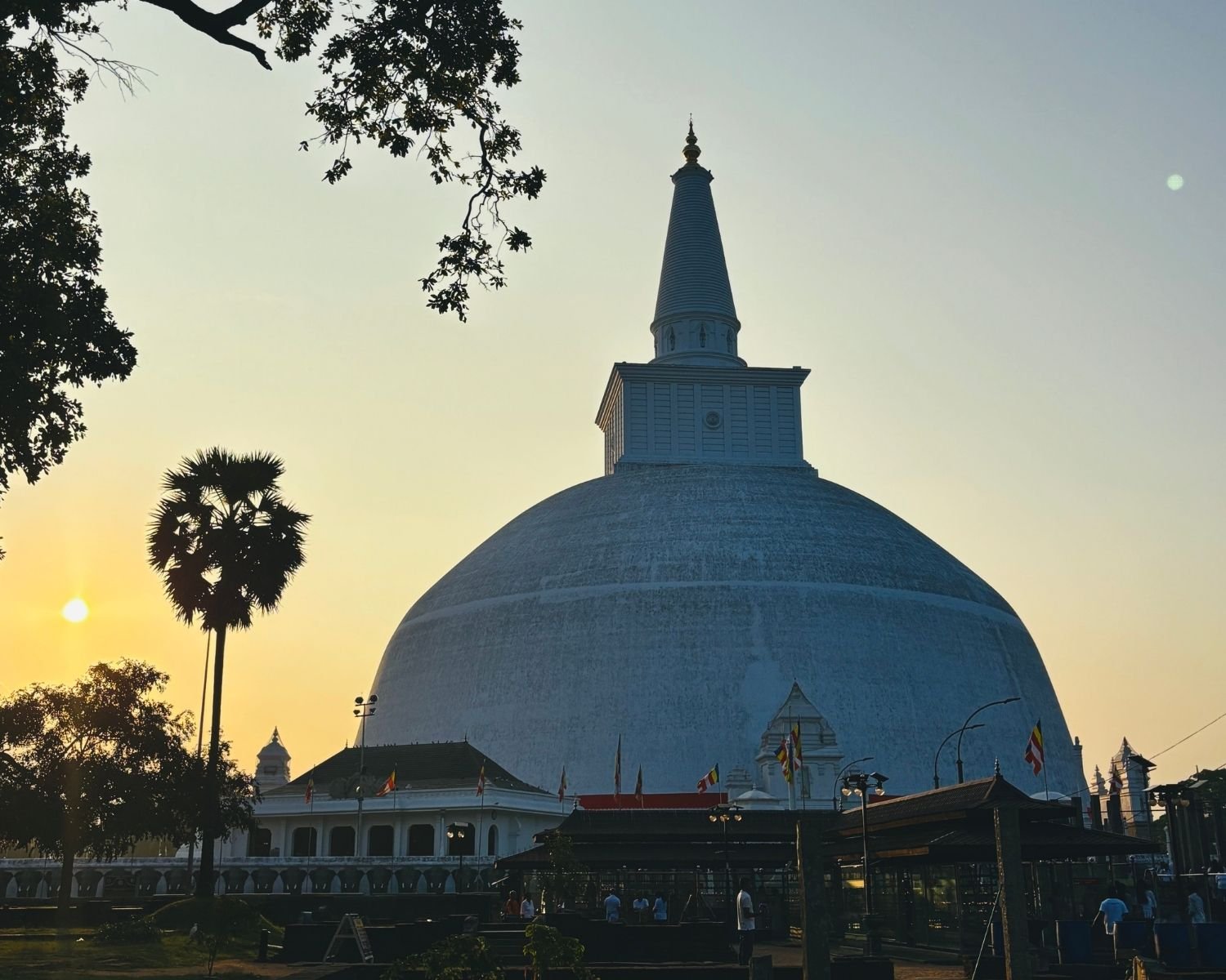 Ruwanwelisaya stupa at sunset with palmyra tree silhouette and Buddhist flags at dusk