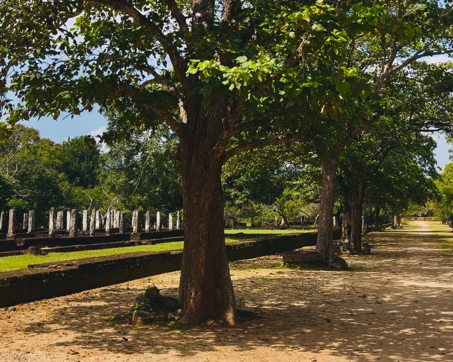Tree-lined pathway beside stone pillar ruins of the Ancient Bhikku Hospital in Alahana