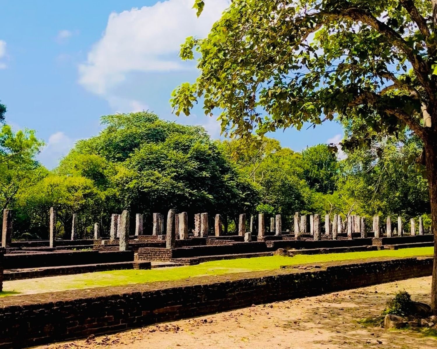 Stone pillar ruins and brick foundations of the Ancient Bhikku Hospital in Alahana Pirivena