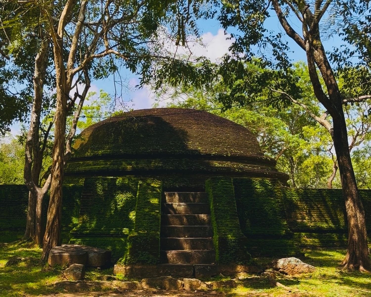 Ancient moss-covered brick stupa with stone steps under shade trees in Alahana Pirivena