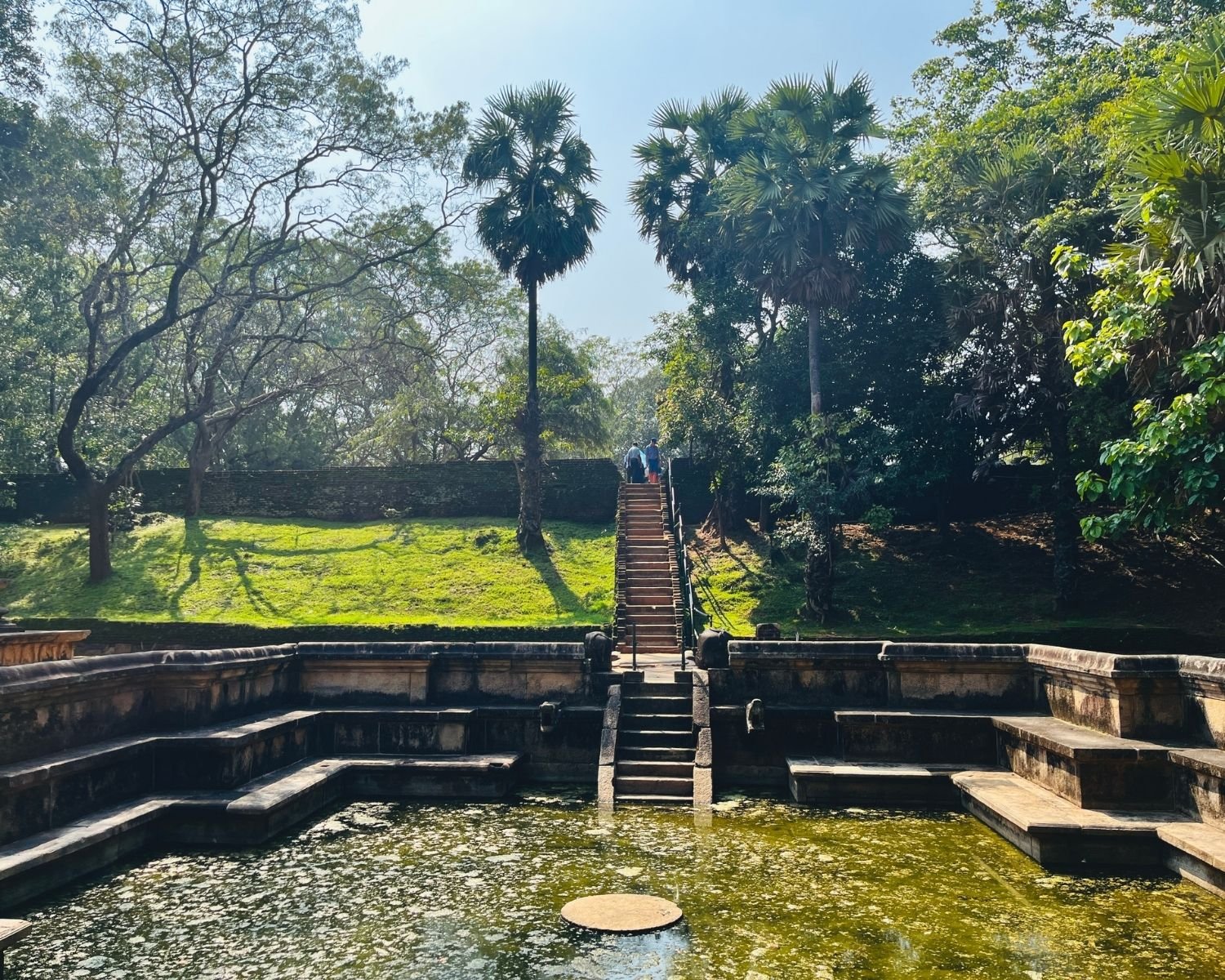 Kumara Pokuna with stone steps to grassy bank, palm trees, and green water