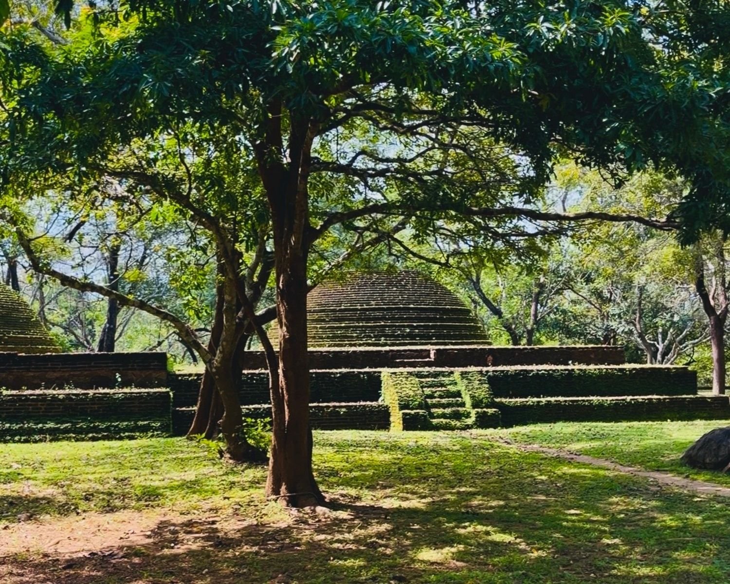 Brick burial stupa with moss-covered steps and platform under trees south of Lankatilaka Image House