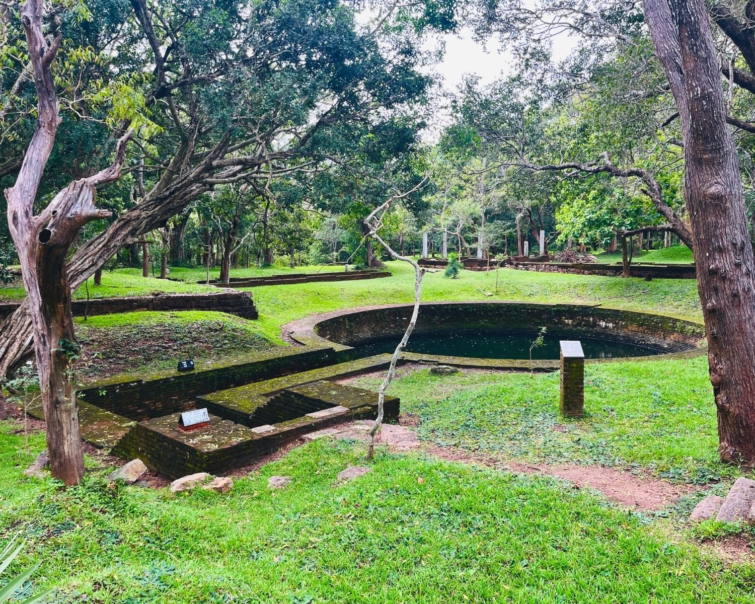 Royal Key Cistern brick channel surrounded by lush green grass, tall trees, dead tree trunks, Sannipatha Hall stone ruins and white pillars under cloudy sky at Abhayagiri Anuradhapura