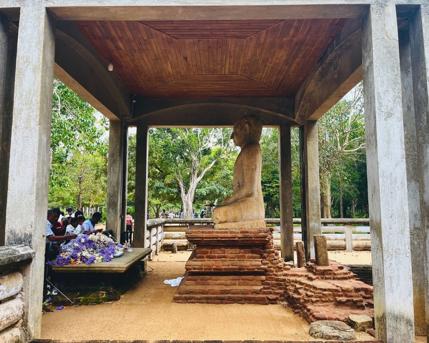 Side view of ancient stone Samadhi Buddha statue in meditation under wooden ceiling pavilion on tiered brick pedestal, with local devotees placing purple and white lotus offerings on stone altar, surrounded by ruins and sacred trees