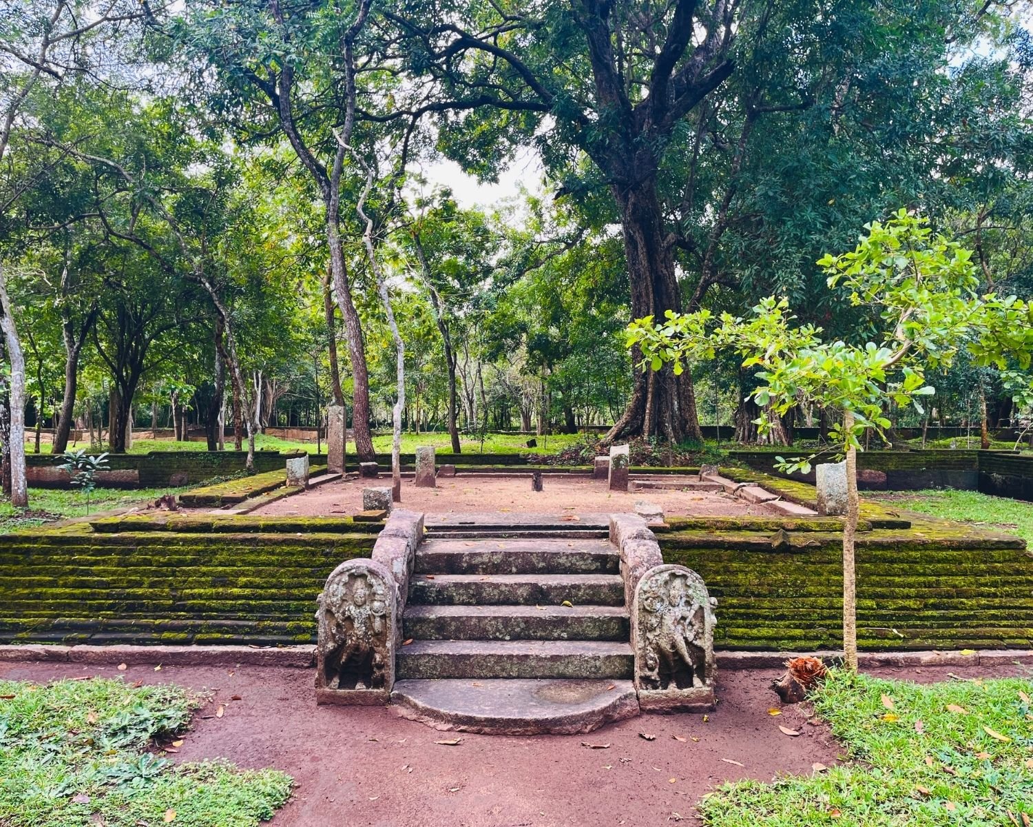 Large moss-covered stone platform with carved guardstones and moonstone sits beside the Abhayagiri Banyan Tree Shrine in Anuradhapura
