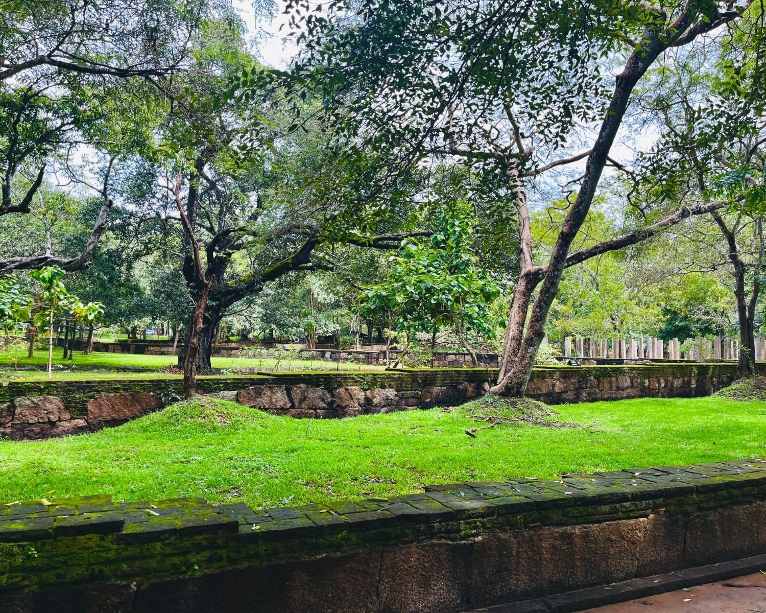 Stone pillars and mossy retaining walls of the Ancient Herbal Bath House stand among trees at Abhayagiri monastery in Anuradhapura