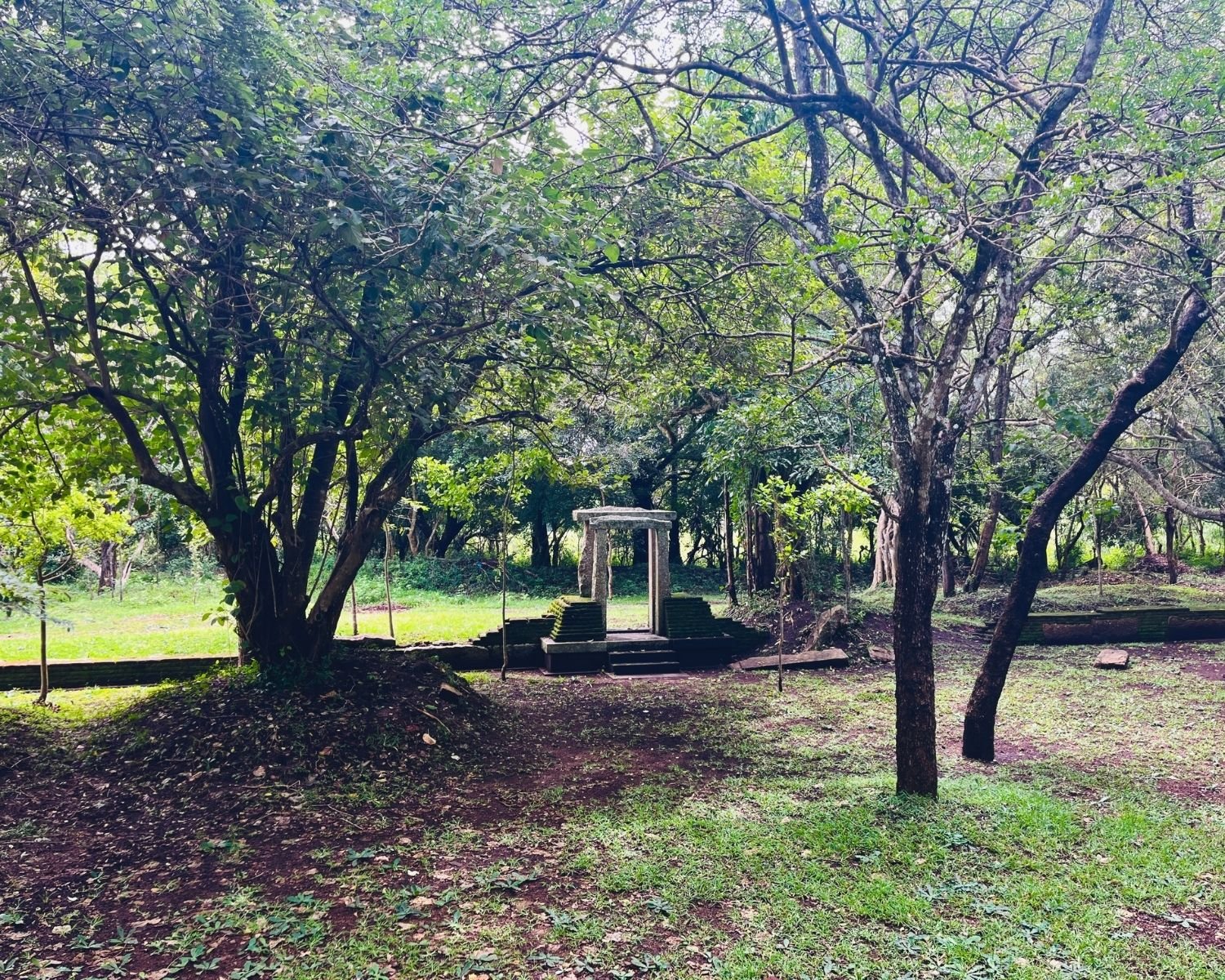 Stone torana doorway with mossy steps stands alone among trees at the east entrance to Banyan Tree Shrine at Abhayagiri monastery in Anuradhapura