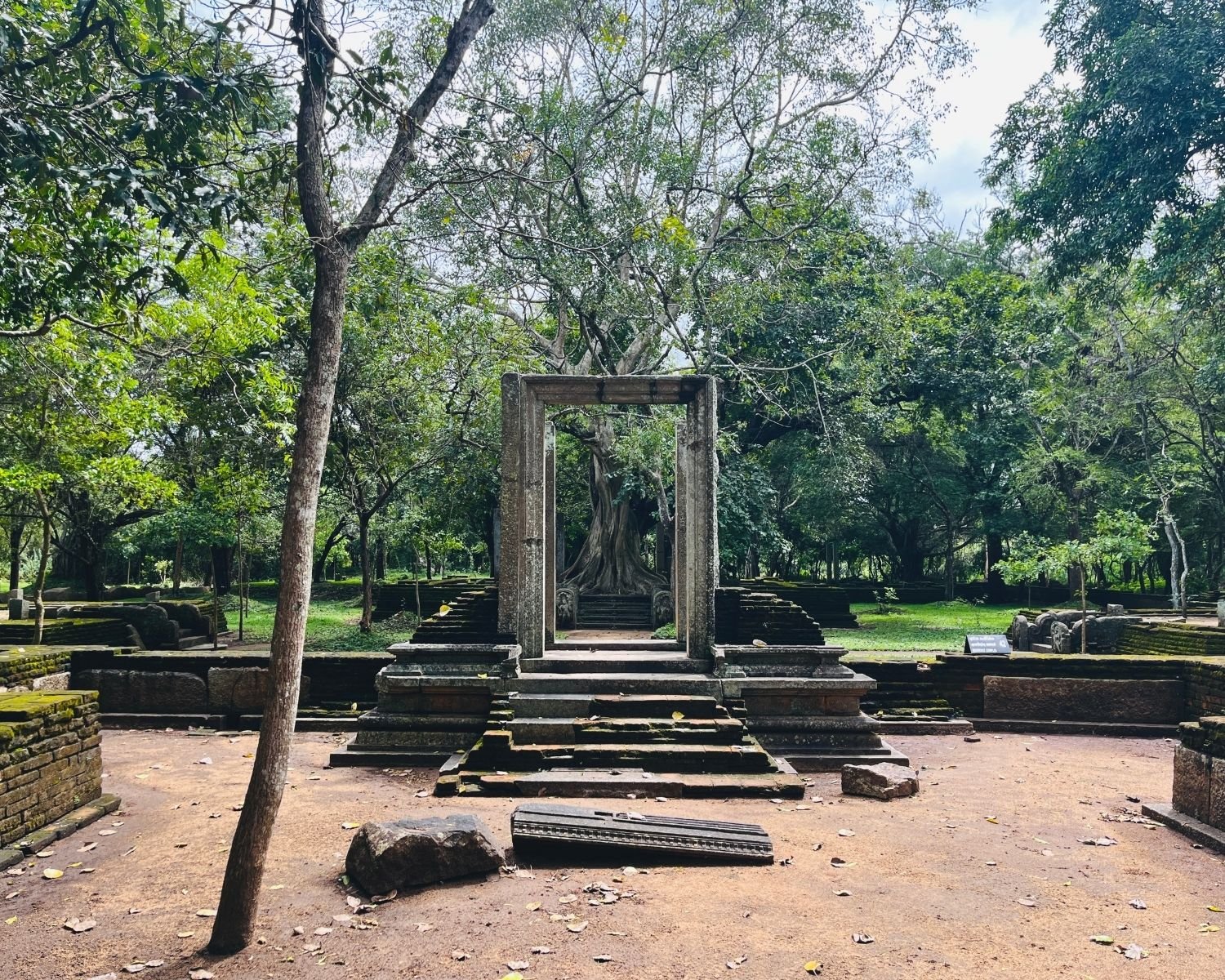Wide view of the west stone doorway and courtyard framing the massive banyan tree at Abhayagiri Banyan Tree Shrine Anuradhapura