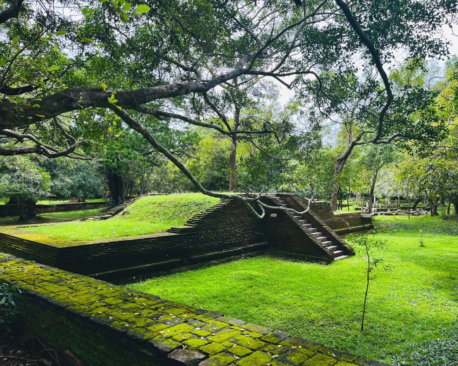 Moss-covered brick platform with stone staircases and grassy top of Dharani House rises above sunken courtyard at Abhayagiri monastery in Anuradhapura