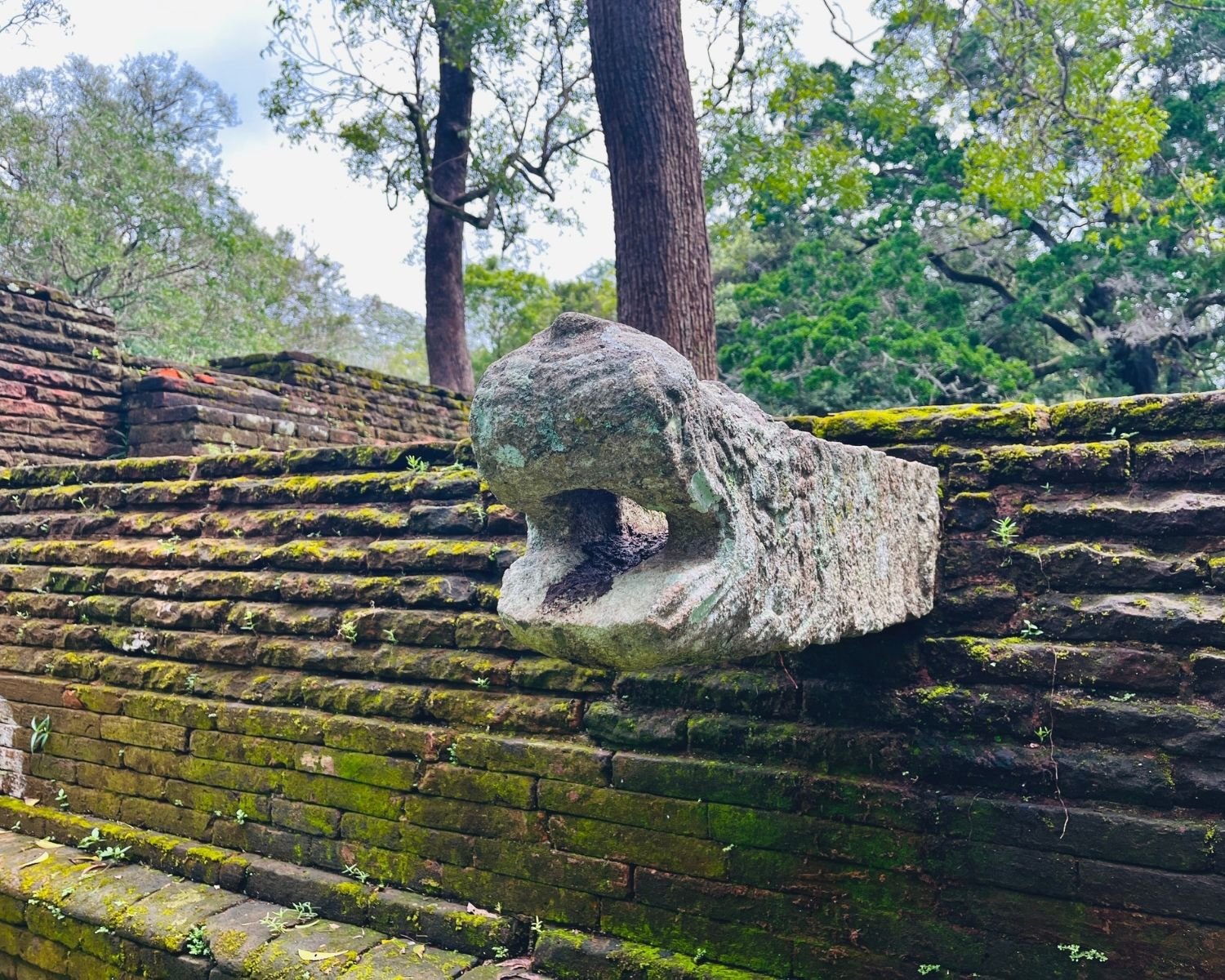 Carved stone makara rainwater spout protrudes from moss-covered brick retaining wall of a monastery platform at Abhayagiri in Anuradhapura
