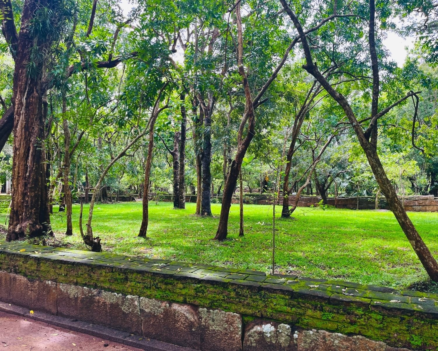 Moss-covered ancient stone walls line a grassy courtyard with trees inside Abhayagiri monastery complex in Anuradhapura