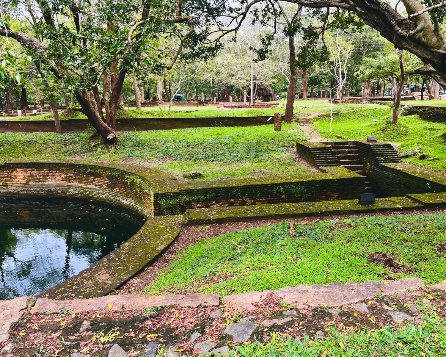 Moss-covered brick steps of Royal Key Cistern cut through emerald lawn, framed by twisted tree branches and scattered dry leaves, with stone ruins and forest canopy beyond at Abhayagiri Anuradhapura