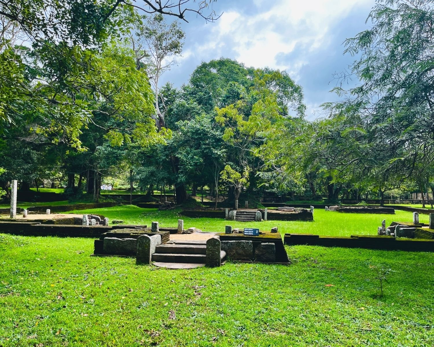 Stone platforms with steps and mossy foundations of the residential complex with grassy courtyards and trees at Abhayagiri monastery in Anuradhapura