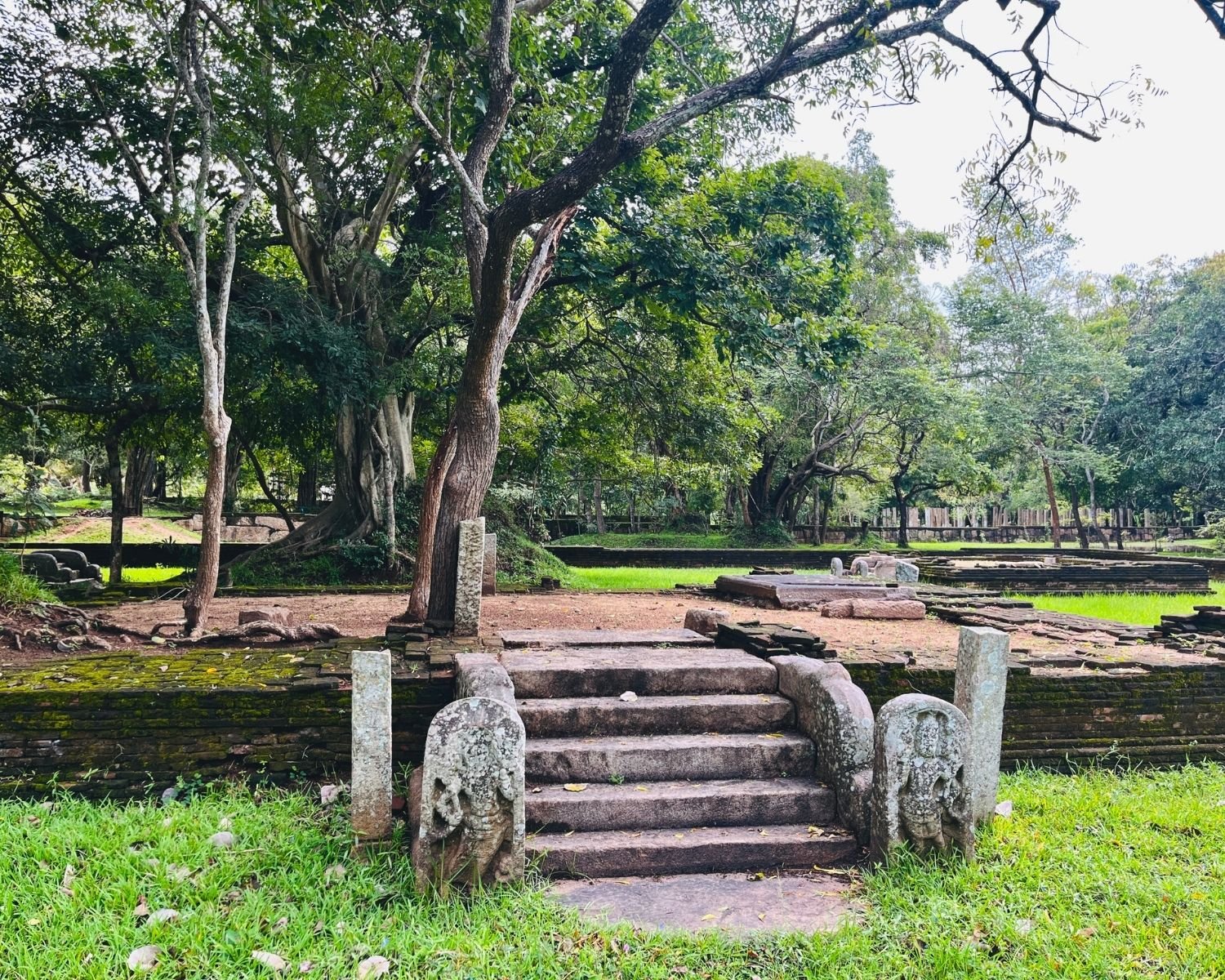 Carved stone guardstones and steps lead to a mossy brick platform with trees in the residential complex at Abhayagiri monastery in Anuradhapura
