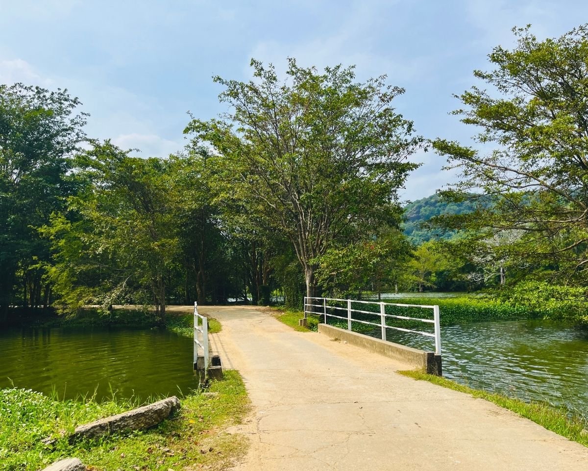 Bridge crossing a narrow inlet of Buduruwagala Reservoir