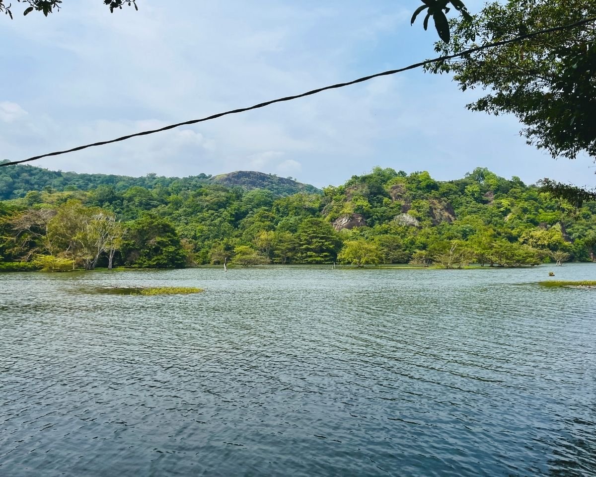 Wide view across Buduruwagala Reservoir and surrounding forest