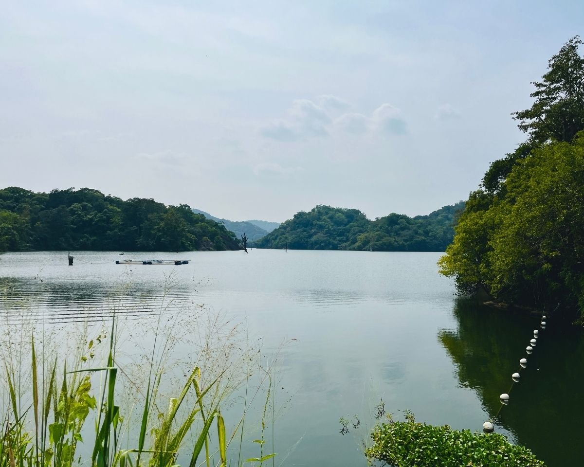 Open water and forested hills at Buduruwagala Reservoir