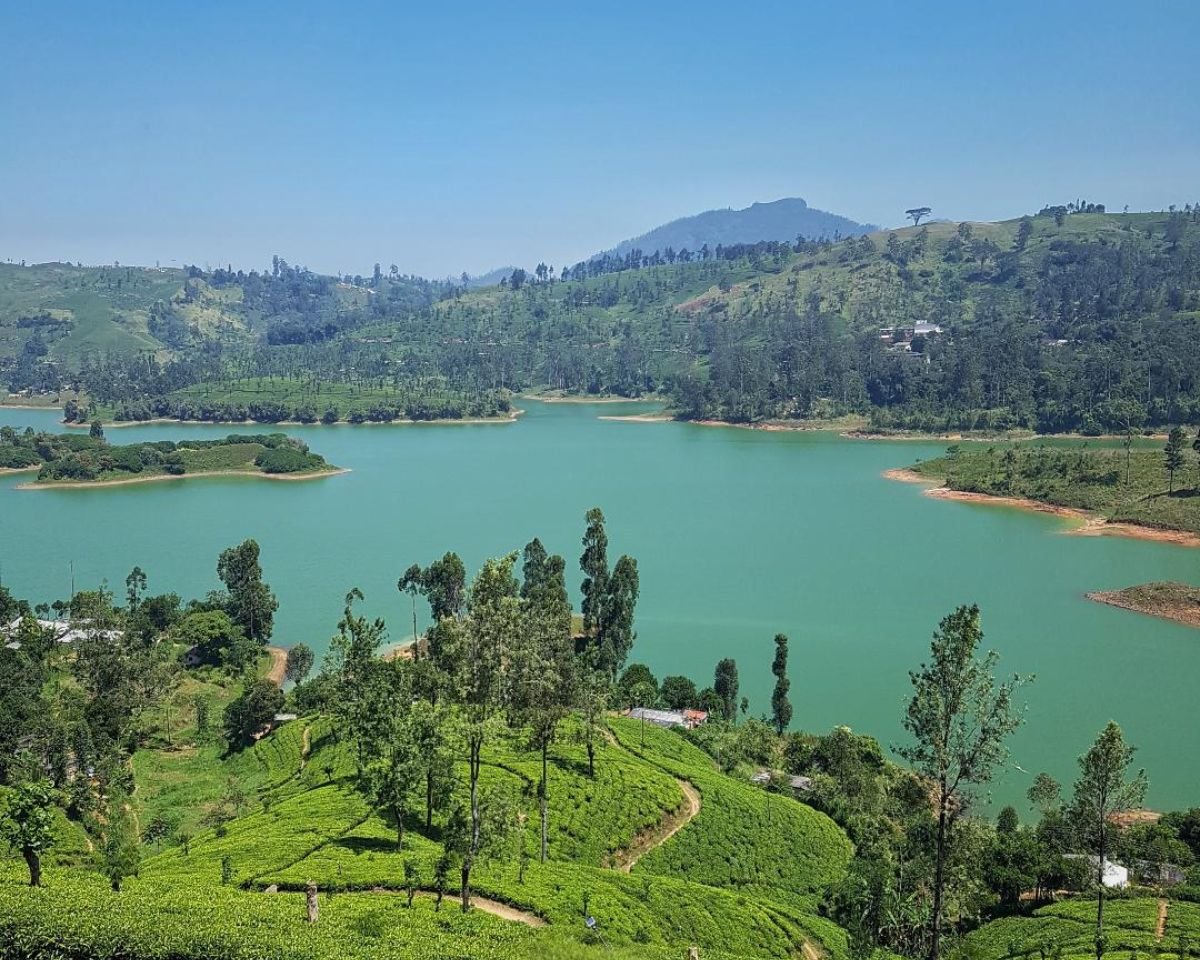 Castlereigh Reservoir near Maskeliya with turquoise water surrounded by tea estates, eucalyptus trees, green hills, and Great Western Mountain under clear blue sky in Sri Lanka hill country