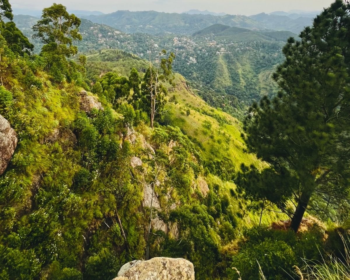 Steep cliffs overlooking the forests and valleys below