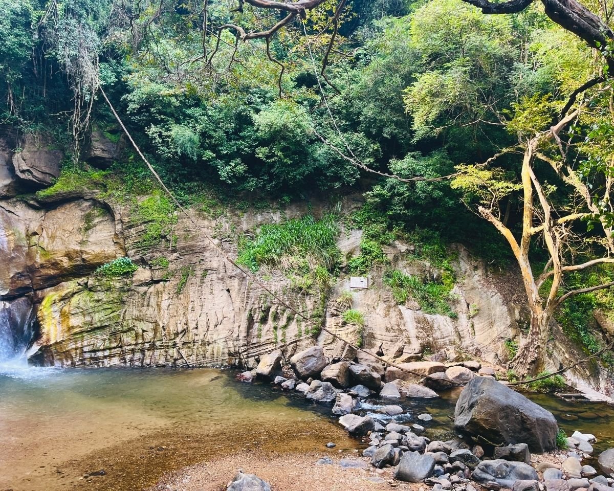 Natural pool beneath the waterfall framed by jungle vines