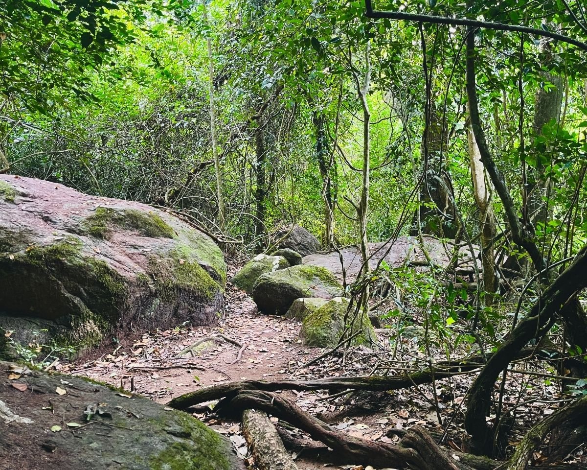 Rocky pathway leading to the waterfall basin
