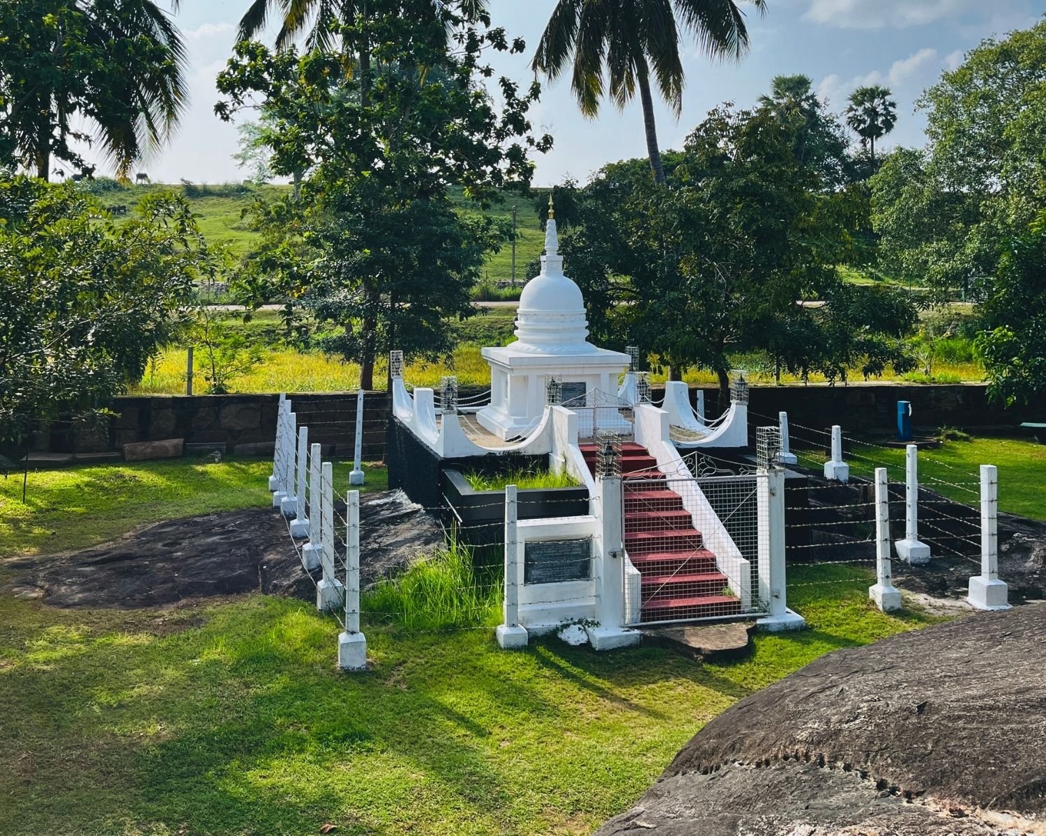 Small white stupa shrine with red steps and curved wing walls at Isurumuniya, surrounded by white fence posts on black rock, with golden paddy fields, coconut palms and green lawn under blue sky at Anuradhapura