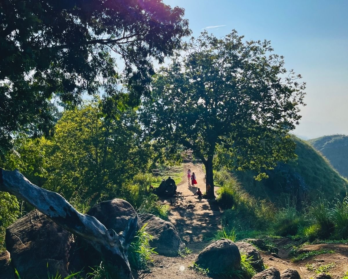 Ridge path framed by trees and mountain views