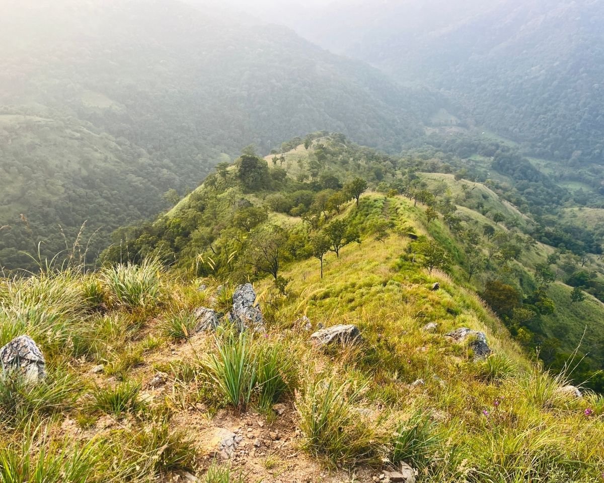 View down a steep grassy slope into the valley