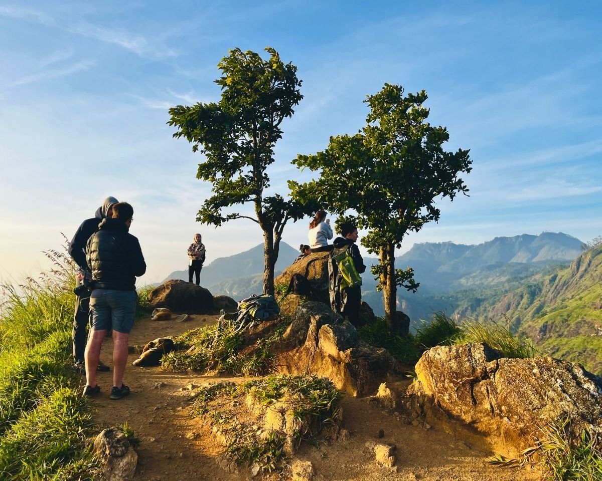 Hikers gathered at a viewpoint marked by two trees