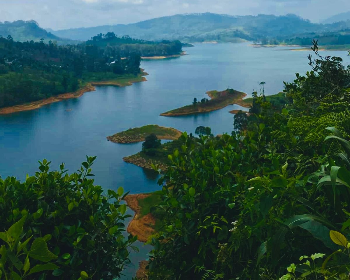 Maussakelle Reservoir with islands and low water level viewed from tea estate ridge with green foliage overlooking the water near Maskeliya Sri Lanka