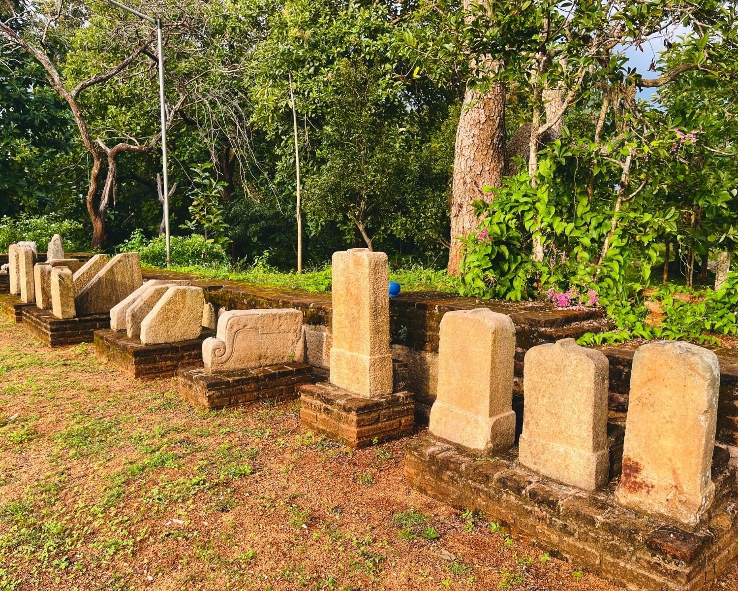 Guardstones, korawak gala wing stones and stone pillar relics arranged on brick platforms with pink flowers and trees at northeast corner of Mirisawetiya Stupa courtyard in Anuradhapura