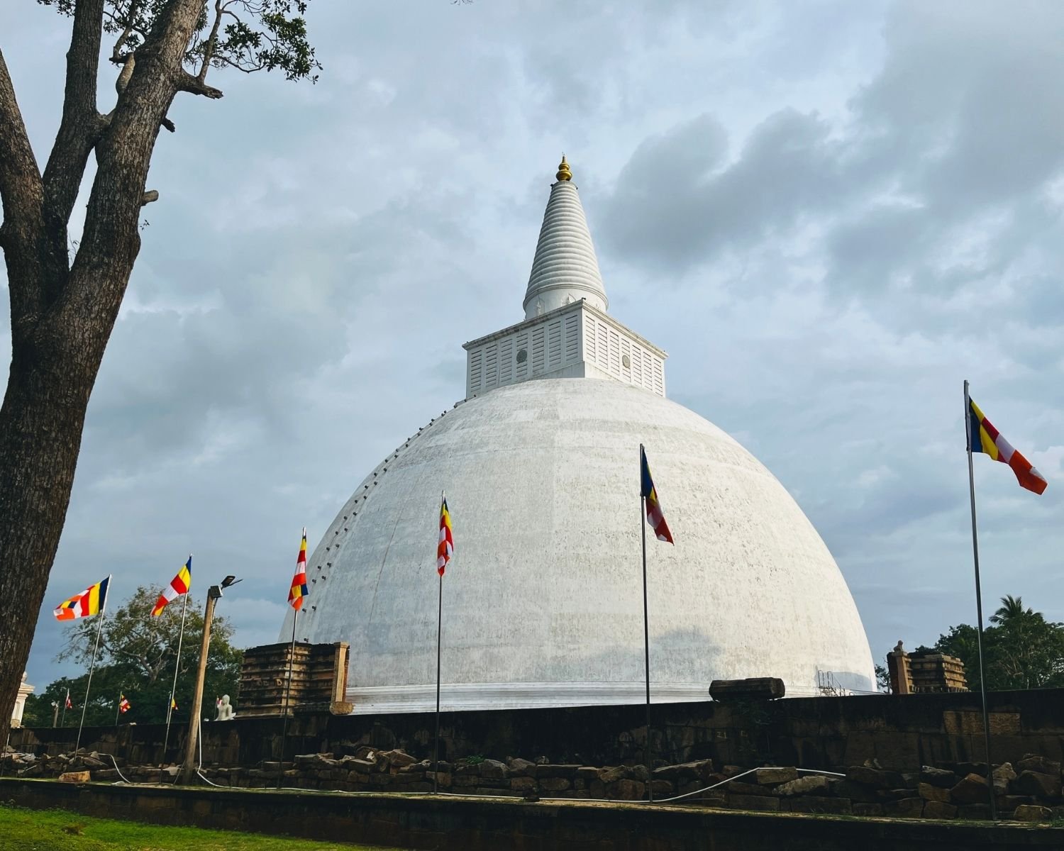 Mirisawetiya Stupa white dome at northwest with west vahaalkada brick ruins, Buddhist flags, stone sailcloth pegs, large tree trunk left, stone platform and cloudy sky at Anuradhapura