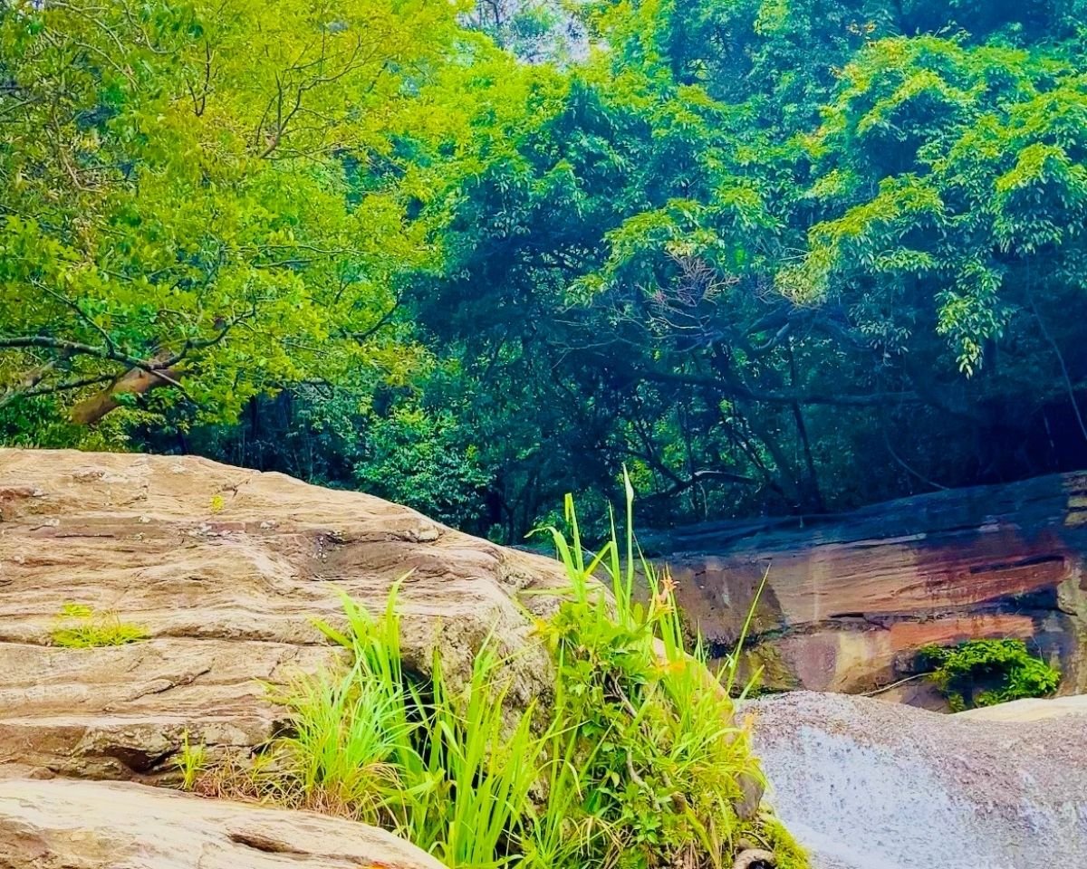 Rocky plateau above the waterfall surrounded by forest