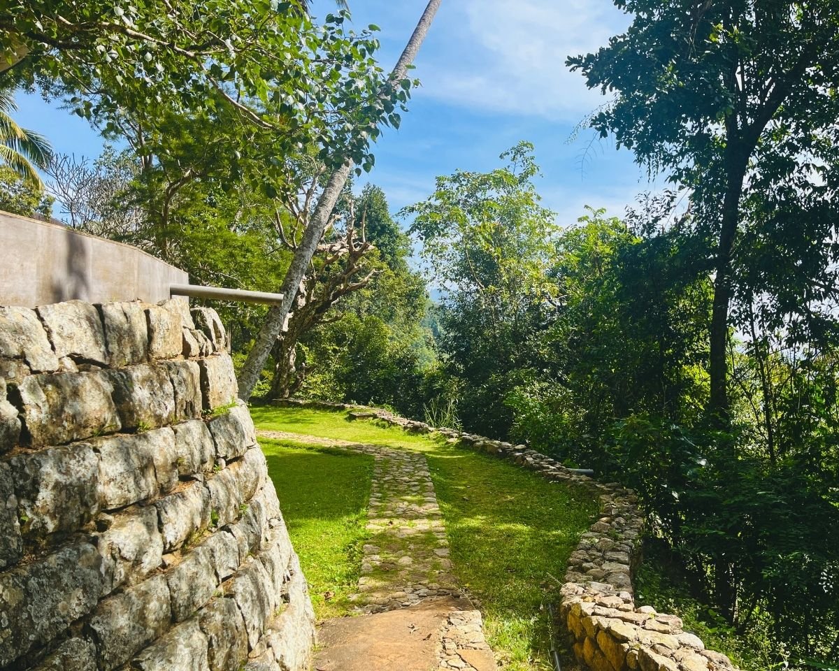 Forest path leading toward the cave temple