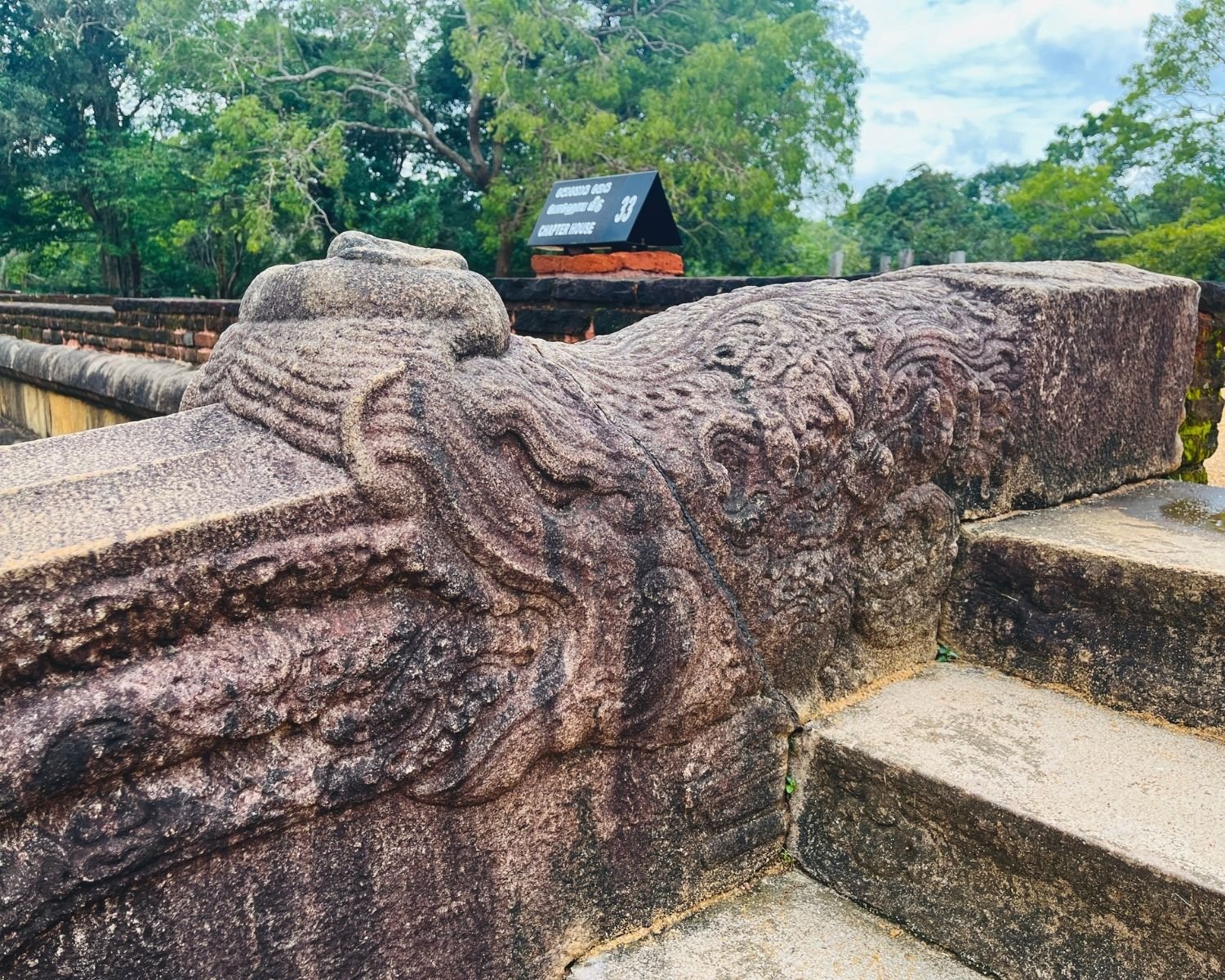 Korawakgala dragon balustrade at Rathna Prasadaya Chapter House showing detailed 7th–9th century makara sea-dragon carving with elephant trunk and swirling body, flanking stone steps beside famous guardstones