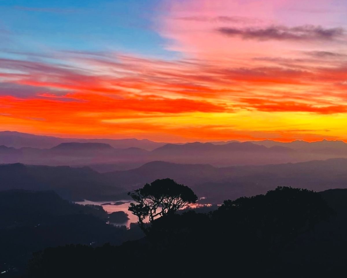 Fiery twilight dawn over Maussakelle Reservoir from Adams Peak with silhouetted cloud forest trees and layered Peak Wilderness ridges under red orange sky