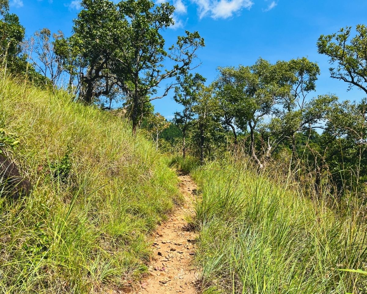 Grassy hiking path leading to Upper Diyaluma Falls