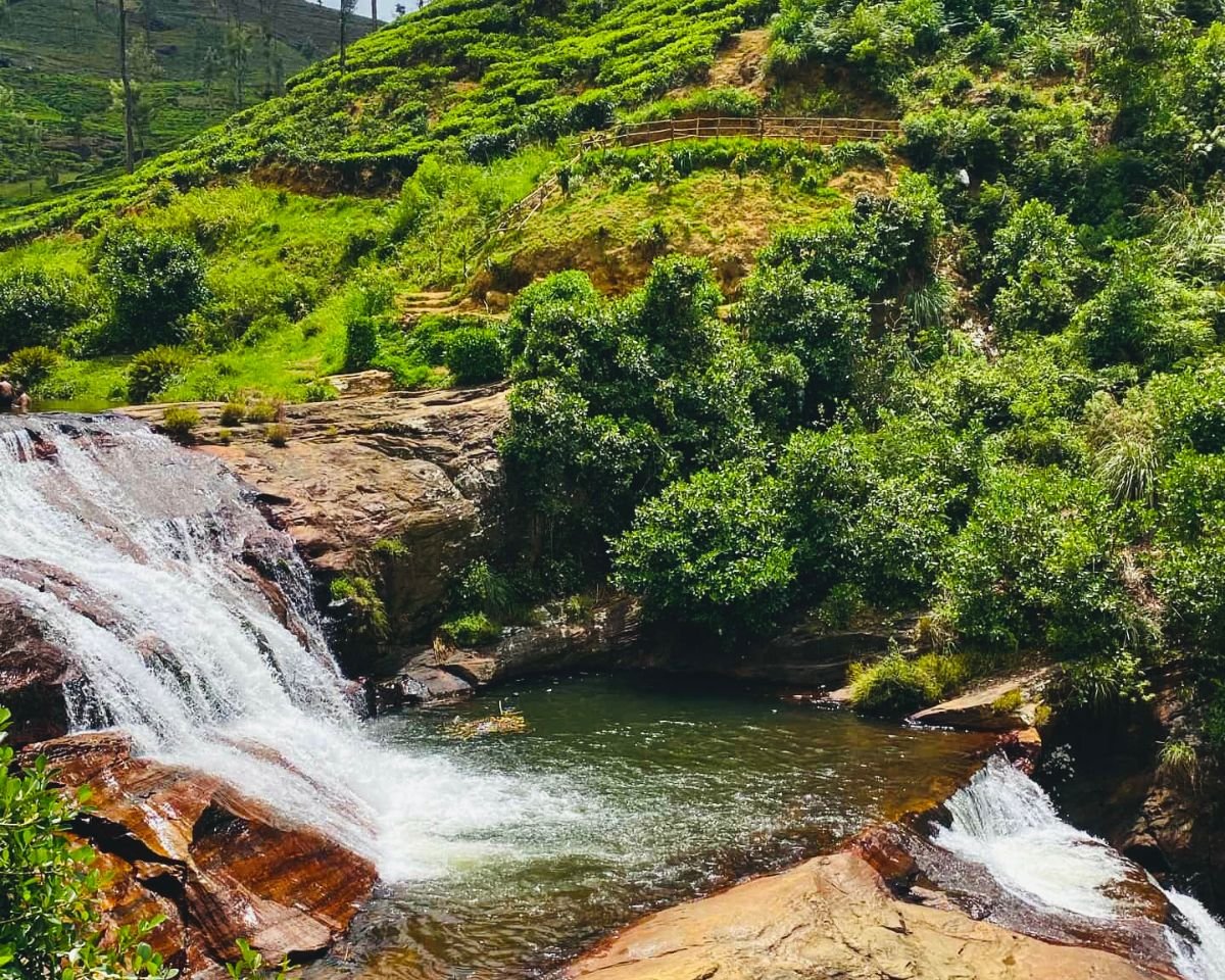 Upper Gartmore viewpoint over Maussakelle Reservoir with islands and low water level seen past tea estate foliage near Maskeliya Sri Lanka