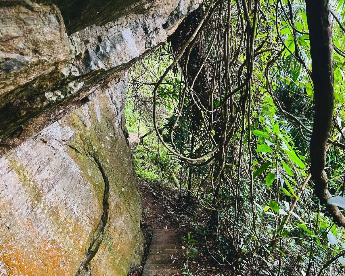 Stone steps descending through forest beneath a rock overhang