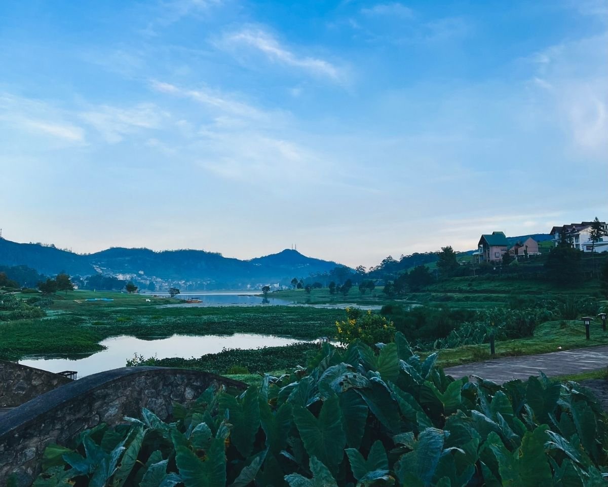Gregory Lake Park at dawn with taro plants, stone bridge, water hyacinth, and Single Tree Hill under blue sky Nuwara Eliya