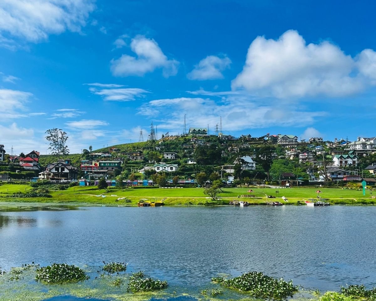 Panoramic view of Gregory Lake with water hyacinth, green park, and hillside town with houses under bright blue sky Nuwara Eliya