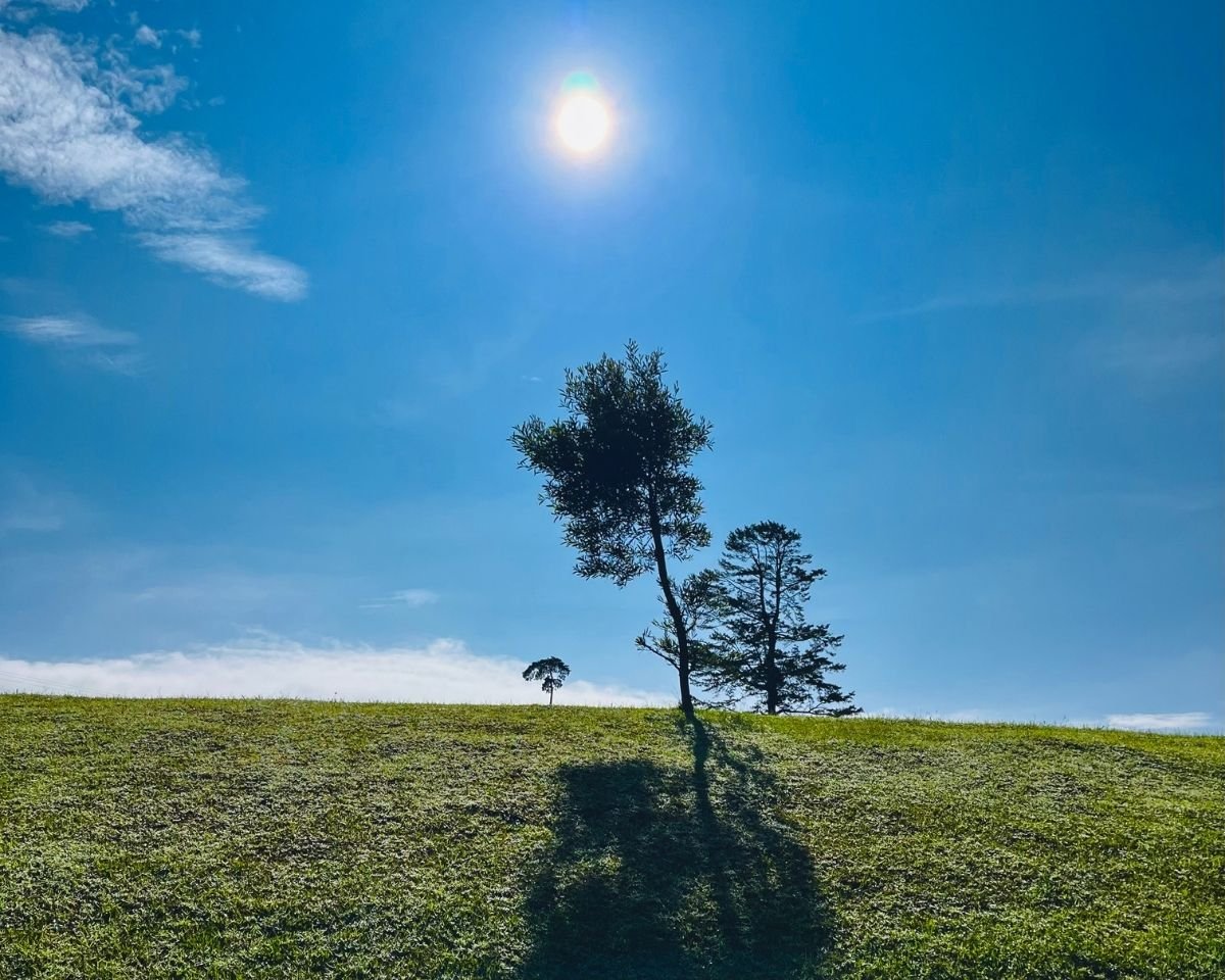 Gregory Lake Park grassy hill with silhouetted trees and bright sun casting shadows under blue sky Nuwara Eliya