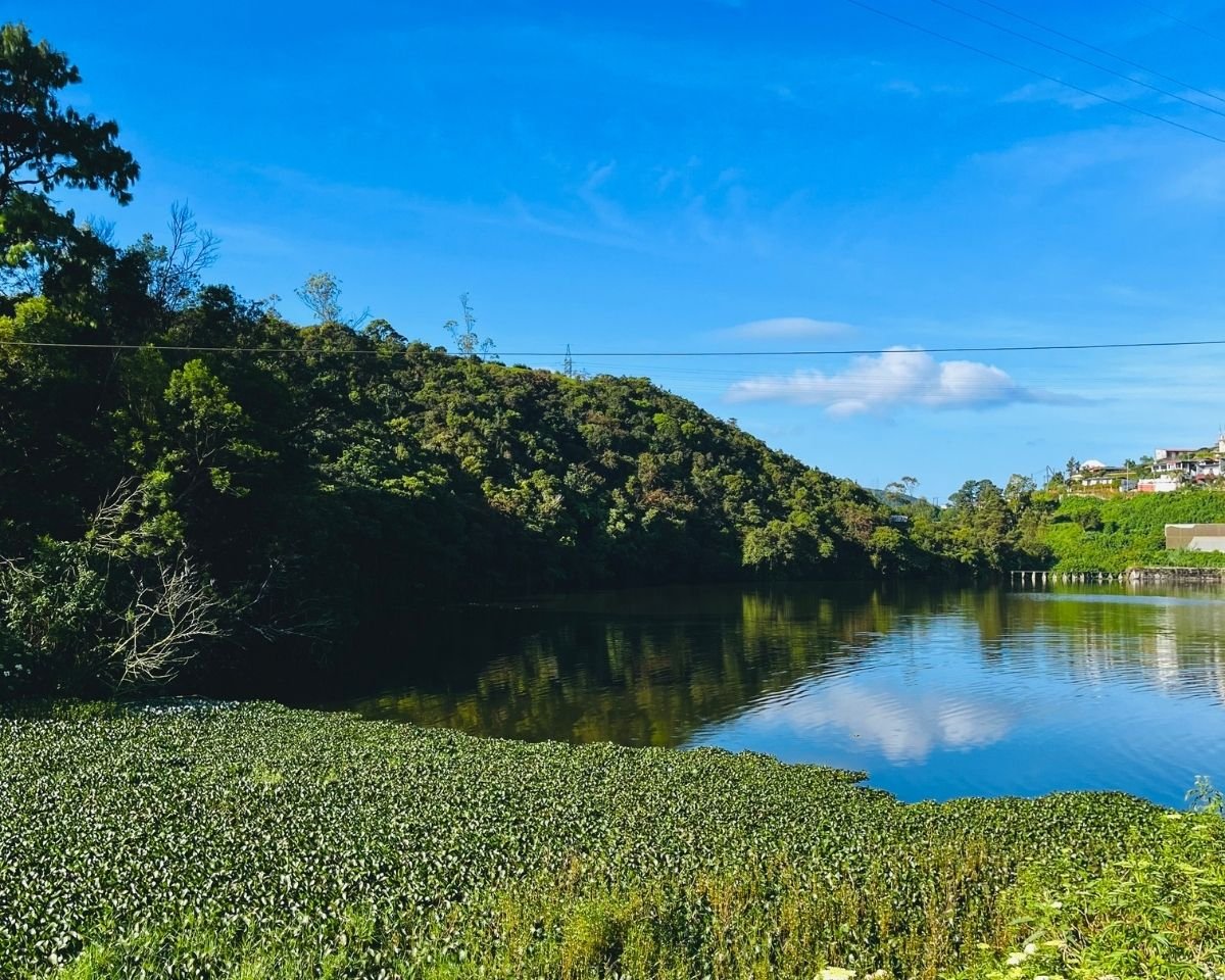 Southern cove of Gregory Lake near dam with forested hillside and grassy bank under blue sky with houses on hill Nuwara Eliya