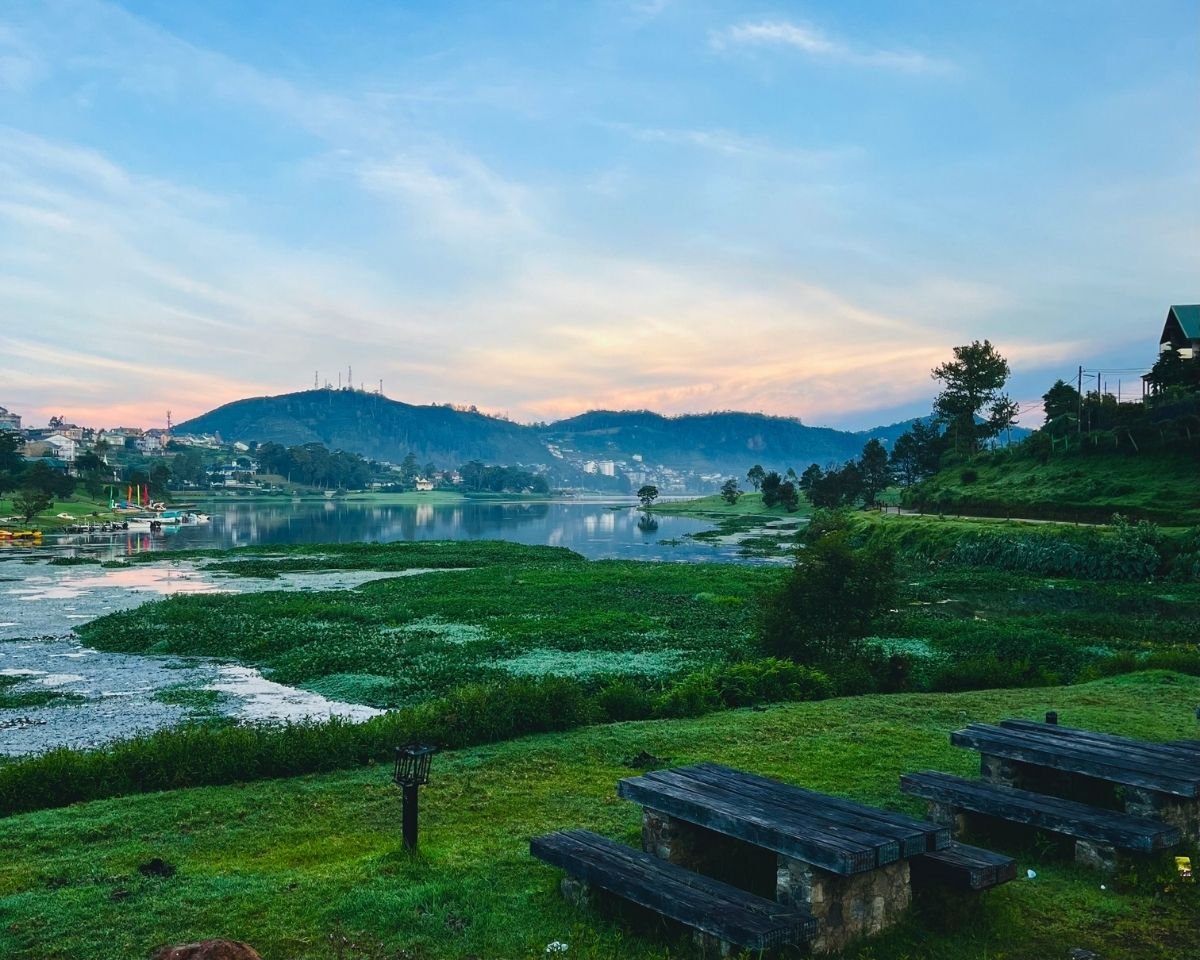 Gregory Lake Park at sunrise with water hyacinth, wooden picnic tables, grassy shore, and hillside town with Single Tree Hill under pastel sky Nuwara Eliya